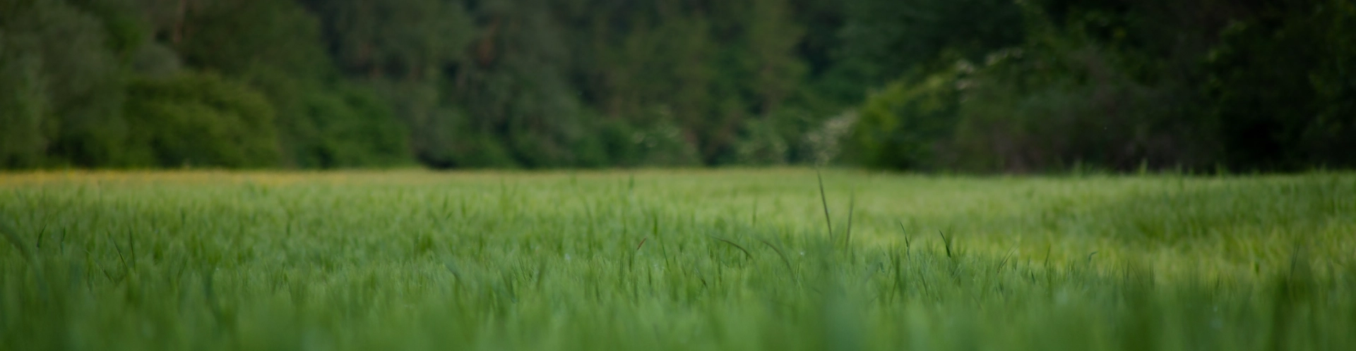 Слайд Изготовление <br>памятников